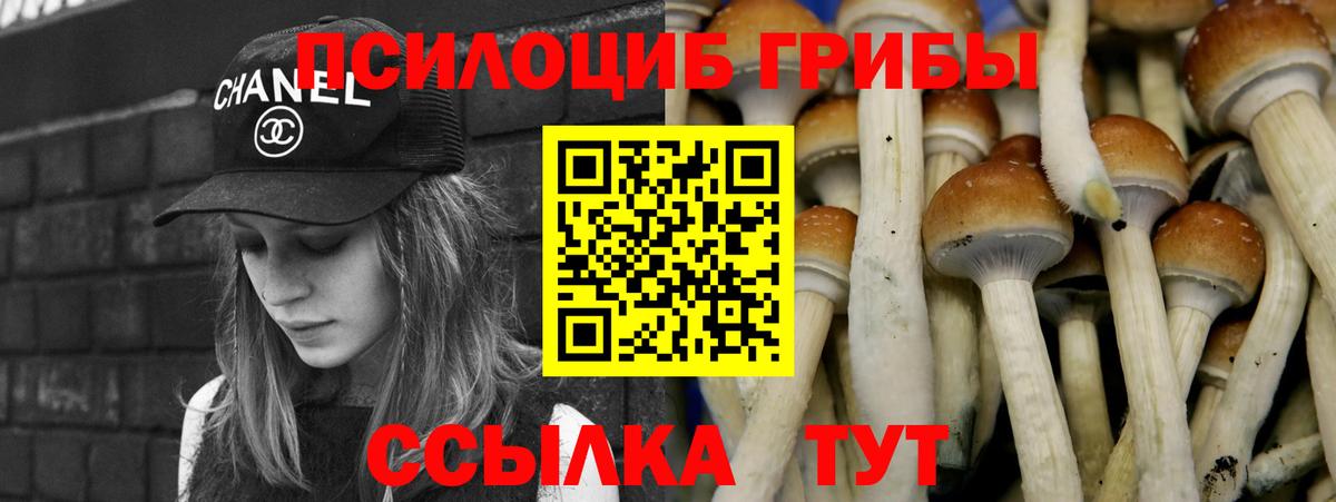 Галлюциногенные грибы мухоморы  Вход с VPN  продажа наркотиков  Галлюциногенные грибы GOLDEN TEACHER  Усть-Кут 